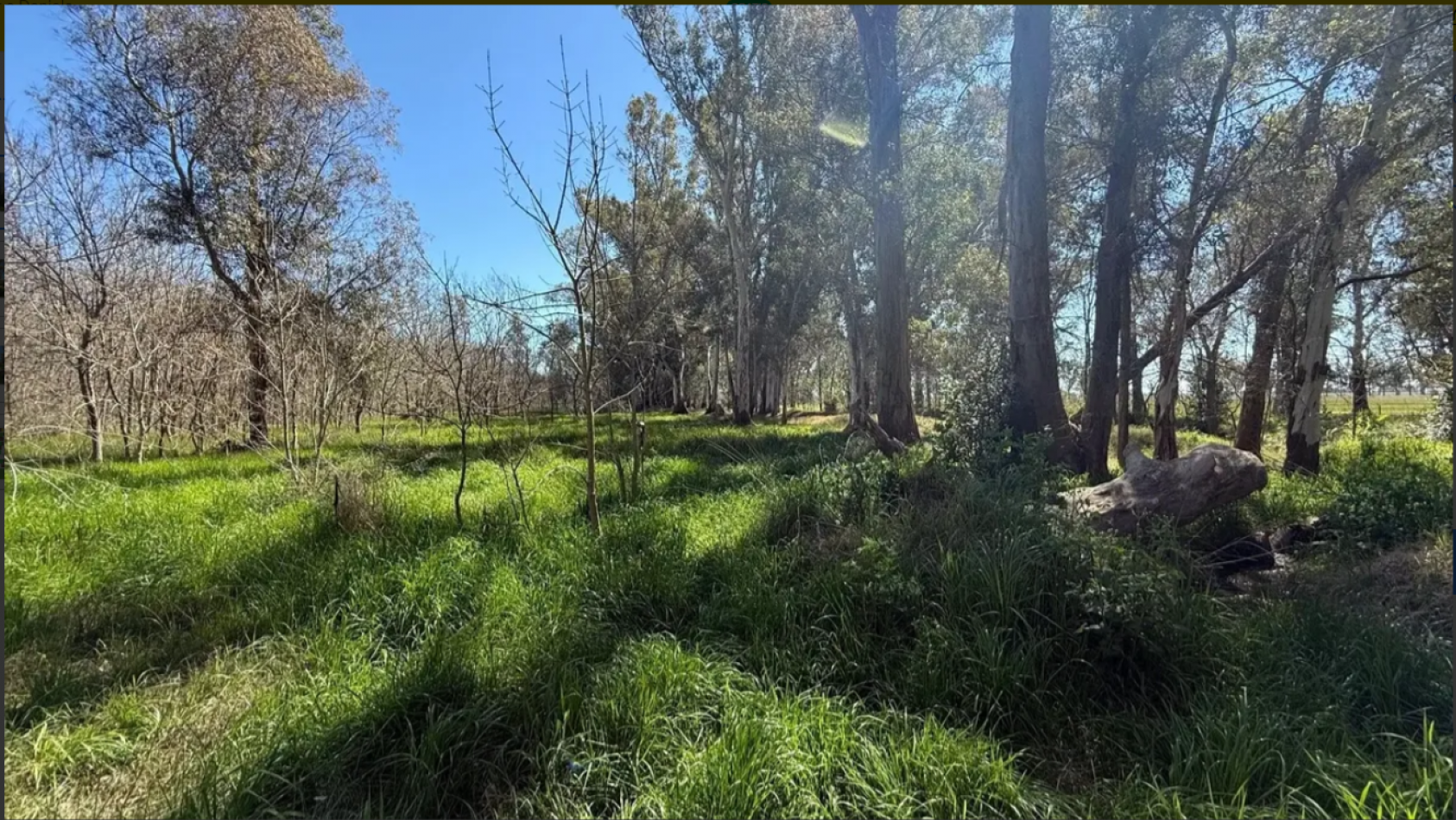 Lote en venta en Los Bosquecitos - Coronel Brandsen