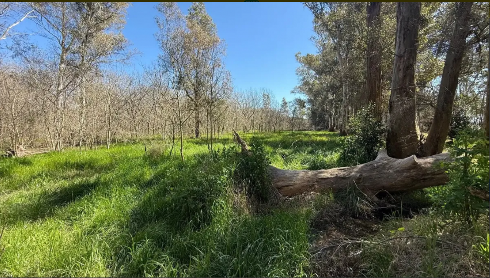 Lote en venta en Los Bosquecitos - Coronel Brandsen