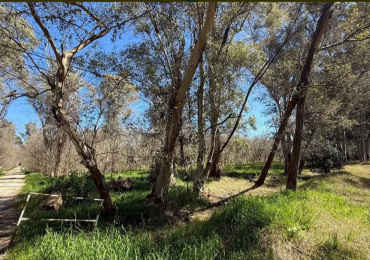 Lote en venta en Los Bosquecitos - Coronel Brandsen